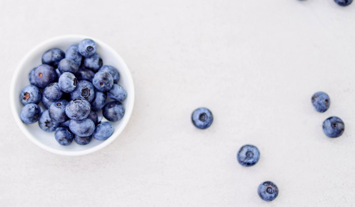 Blueberries Food For Brain Power Whizoweb