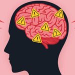 6 Effects That Influence (and Explain) Our Brains