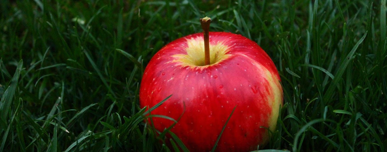Apple Pregnancy Nutrients Fruits Whizoweb