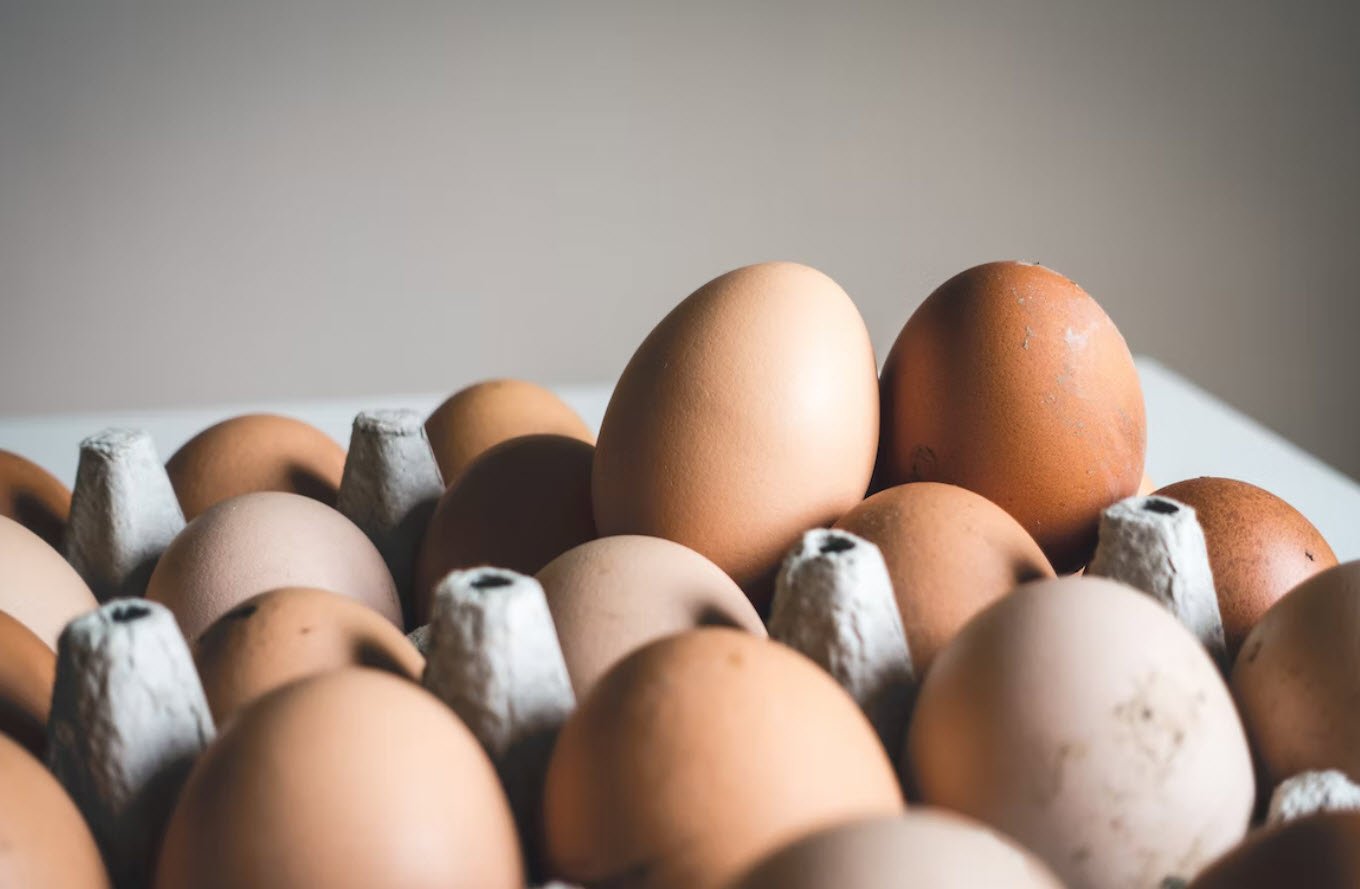 Eggs Health Benefits Whizoweb