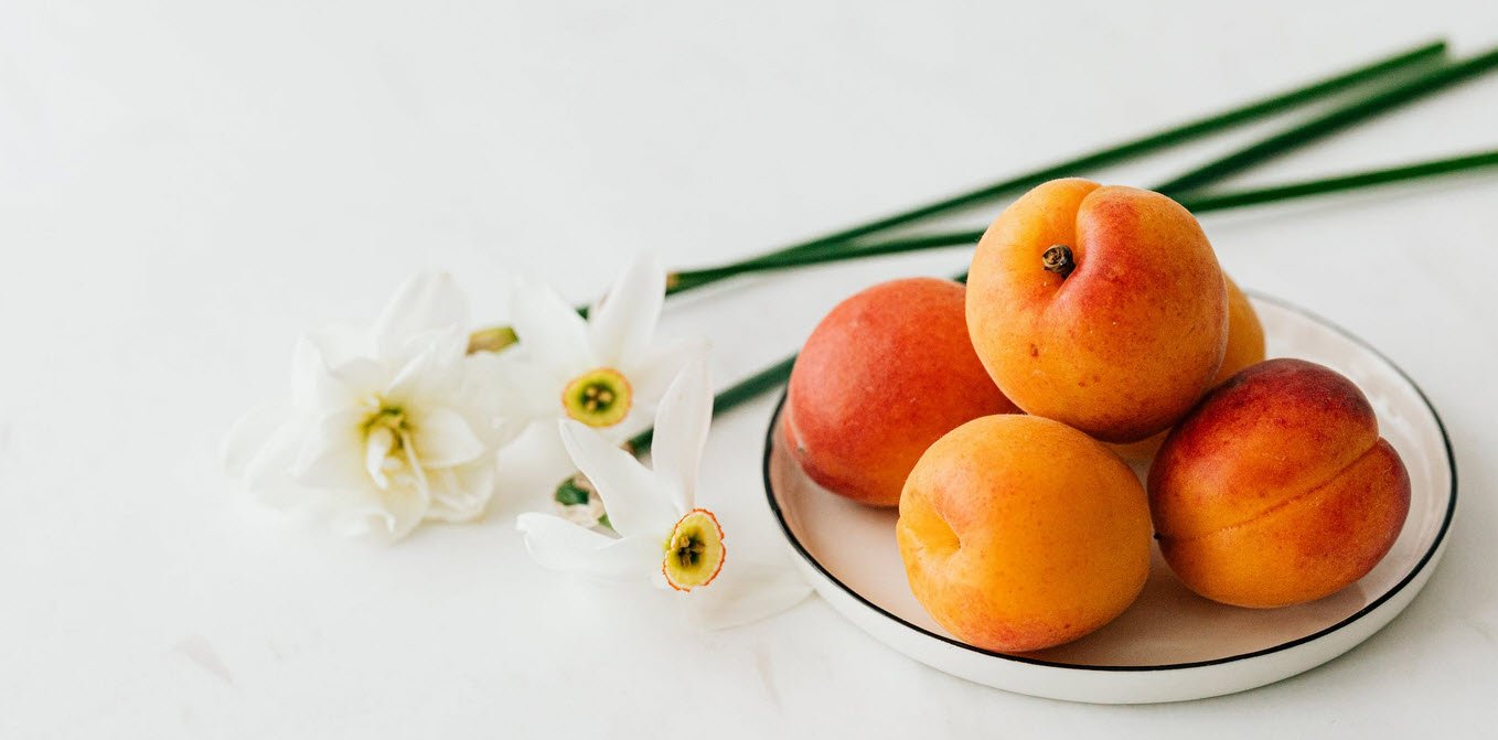 Pregnancy Nutrition Apricot Whizoweb