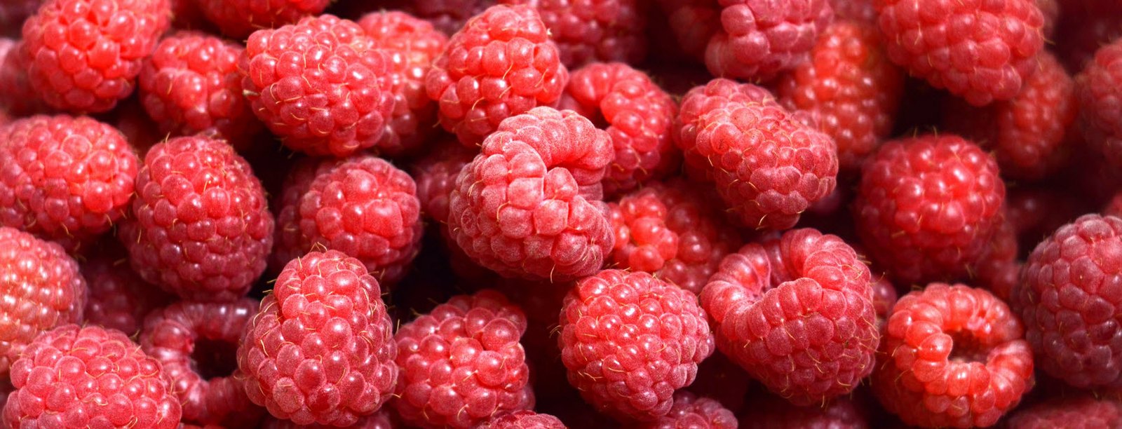 Pregnancy Nutrition Rapberry Fruits Whizoweb
