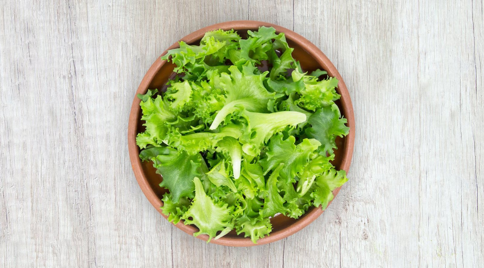 lettuce types Whizoweb