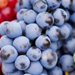 Three Different Types of Grapes You Need To Know
