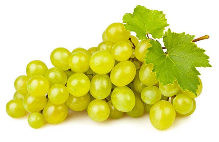 White Grapes Whizoweb