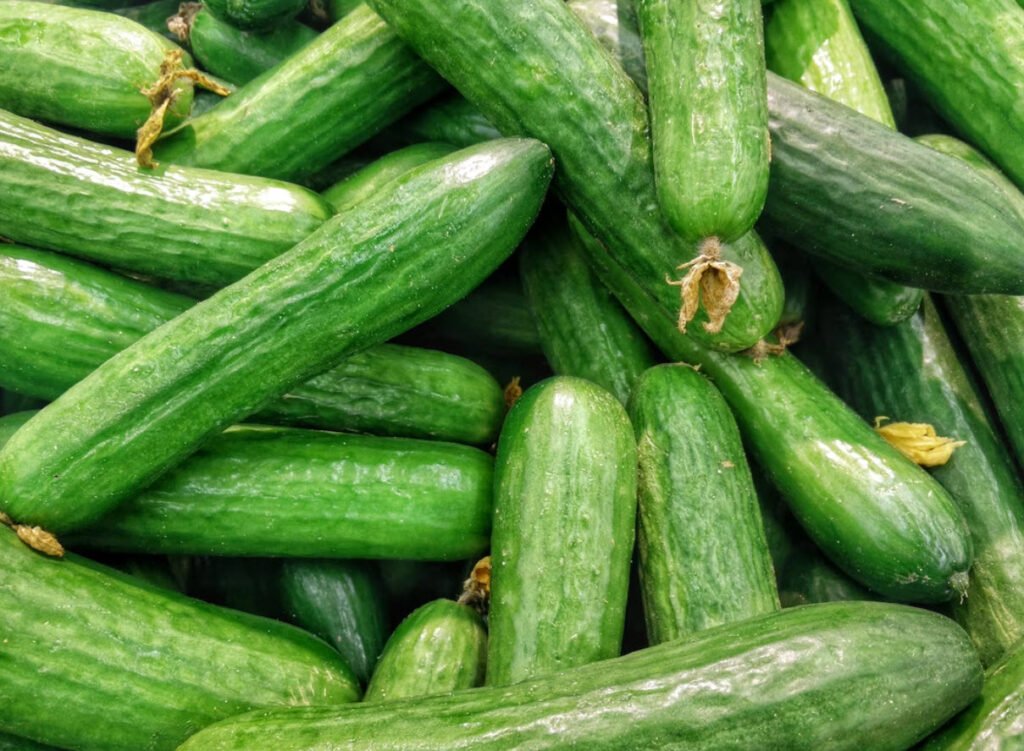 Cucumbers Health Benefits