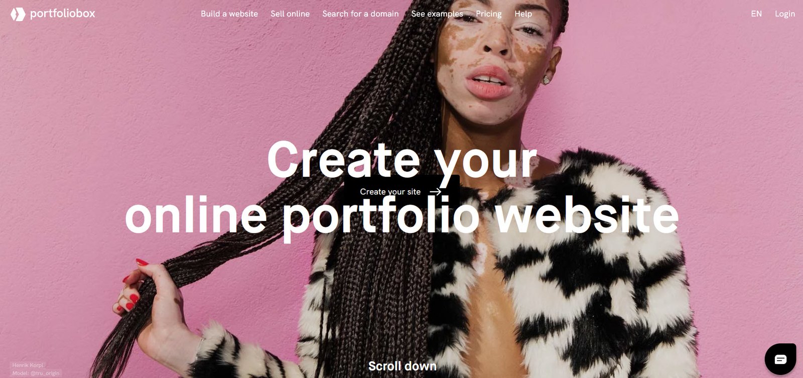 Portfolio Box Whizoweb