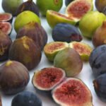 Figs Whizoweb