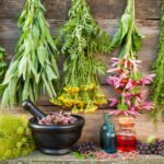 Medicinal Herbs Whizoweb