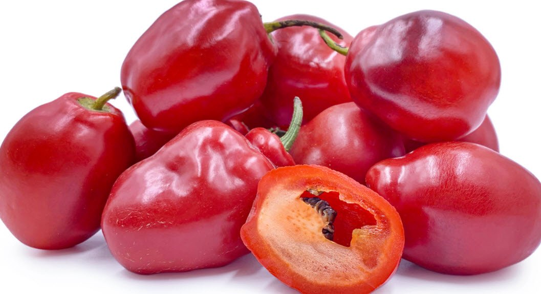 Rocoto Pepper