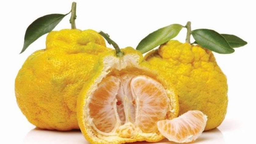 Ugli Fruit Citrus Fruit